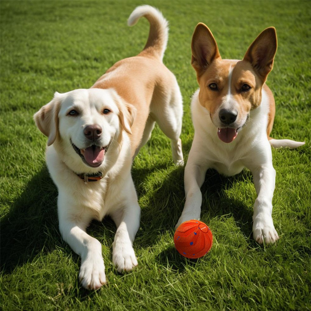 Automatic Moving Dog Ball - Pelota inteligente para perros, resistente a