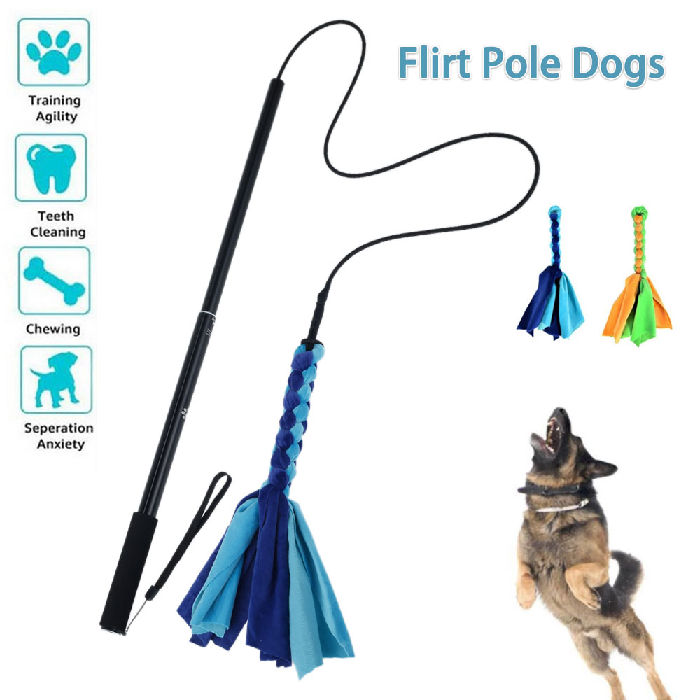 Interactive Squeaky Plush Dog Toy - Perros coqueteo señuelo palo juguetes mascota