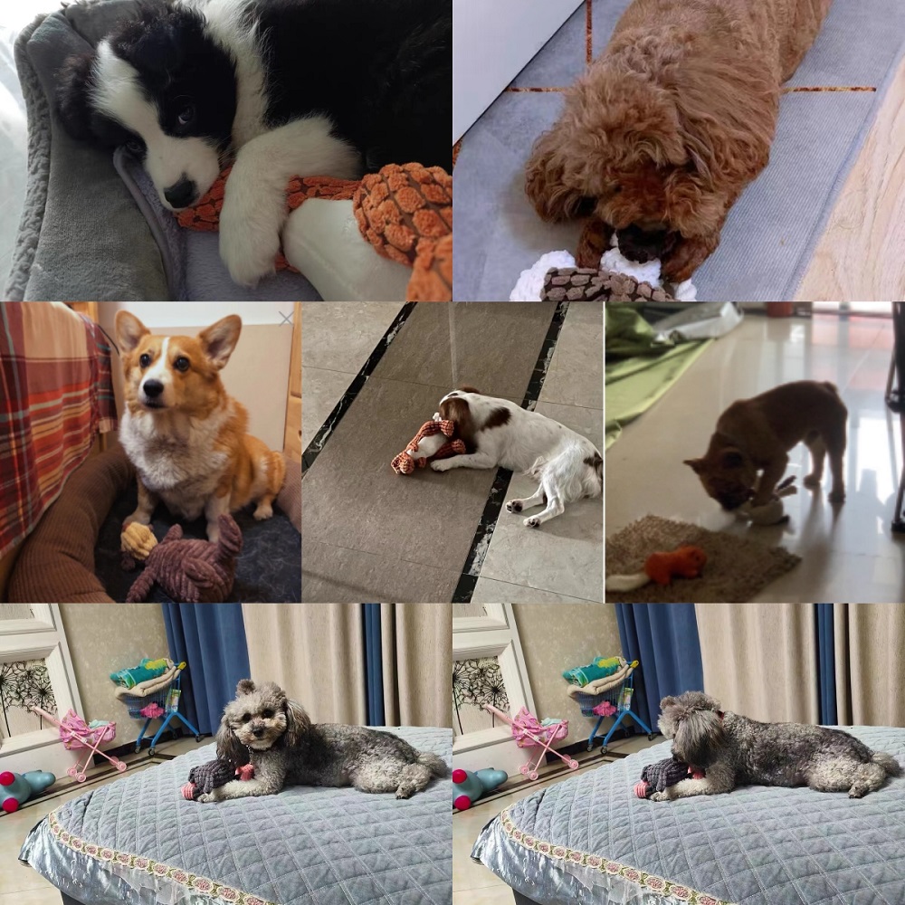 Juguetes chirriantes con forma - Interactive Squeaky Plush Dog Toy reseña y precio
