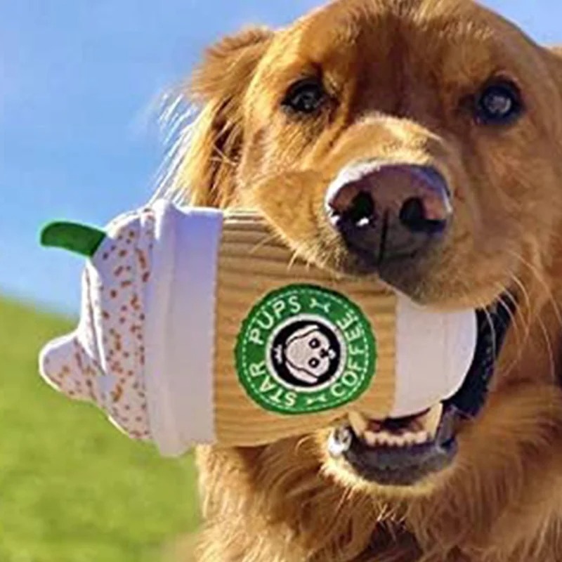 Juguete para perros para rechi - Interactive Squeaky Plush Dog Toy reseña y precio