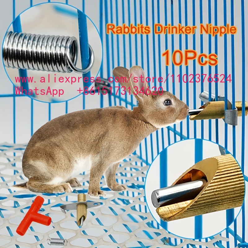 10 Piezas de Bebederos Automát - Pet Feeders reseña y precio