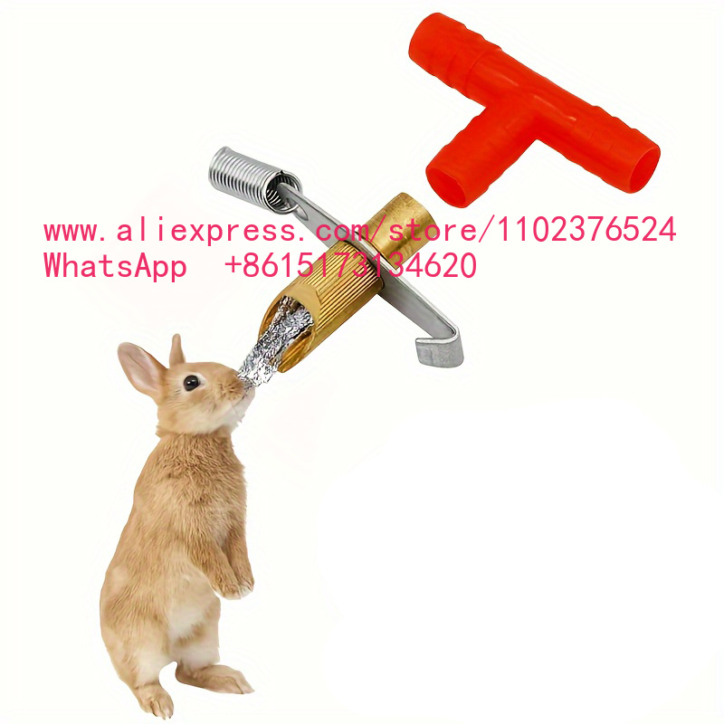 10 Piezas de Bebederos Automát - Pet Feeders reseña y precio